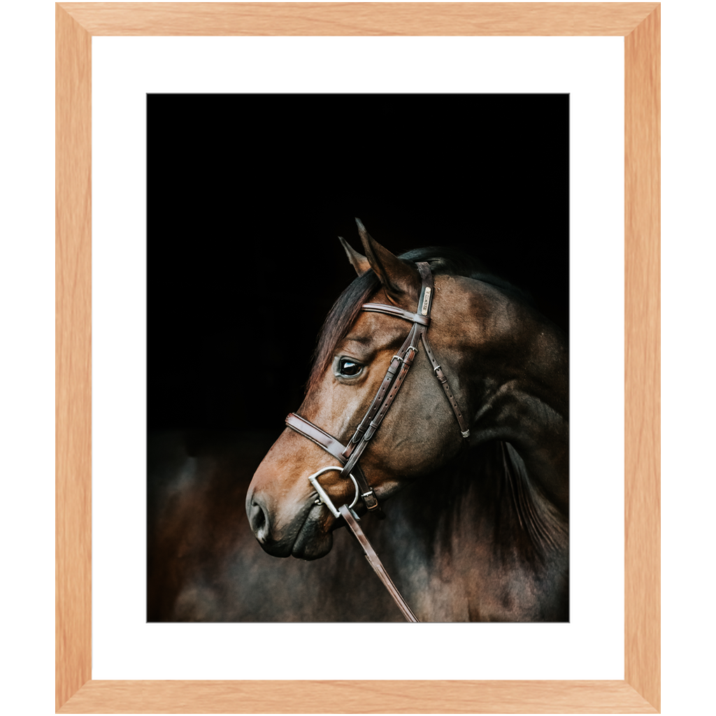 Jovial Series 3, Framed Print