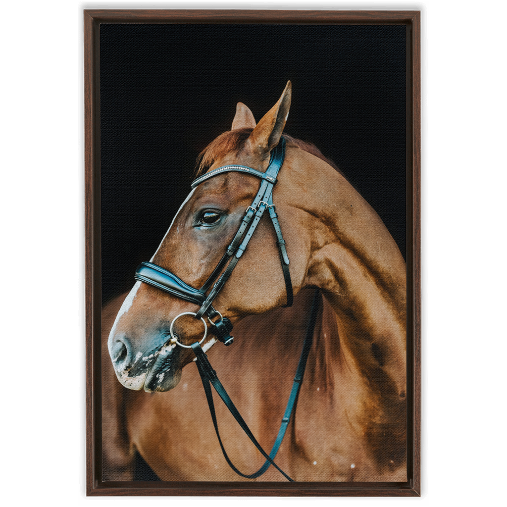 Hudson Series 6, Framed Canvas