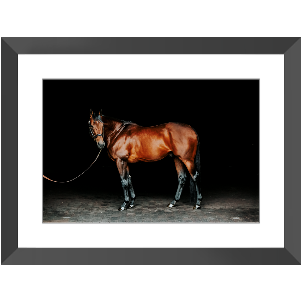 American Pharoah Series 1, Framed Print