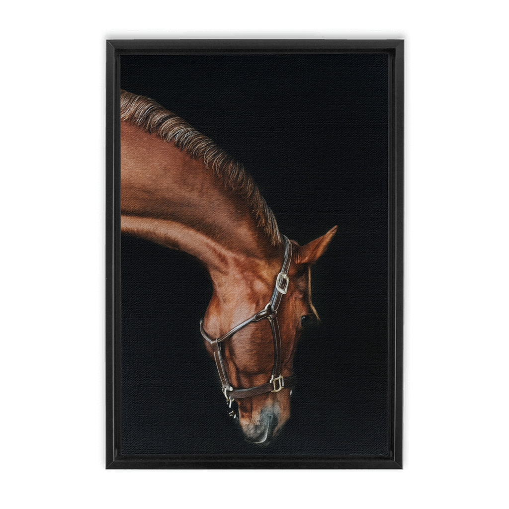 Django Series 6, Framed Canvas