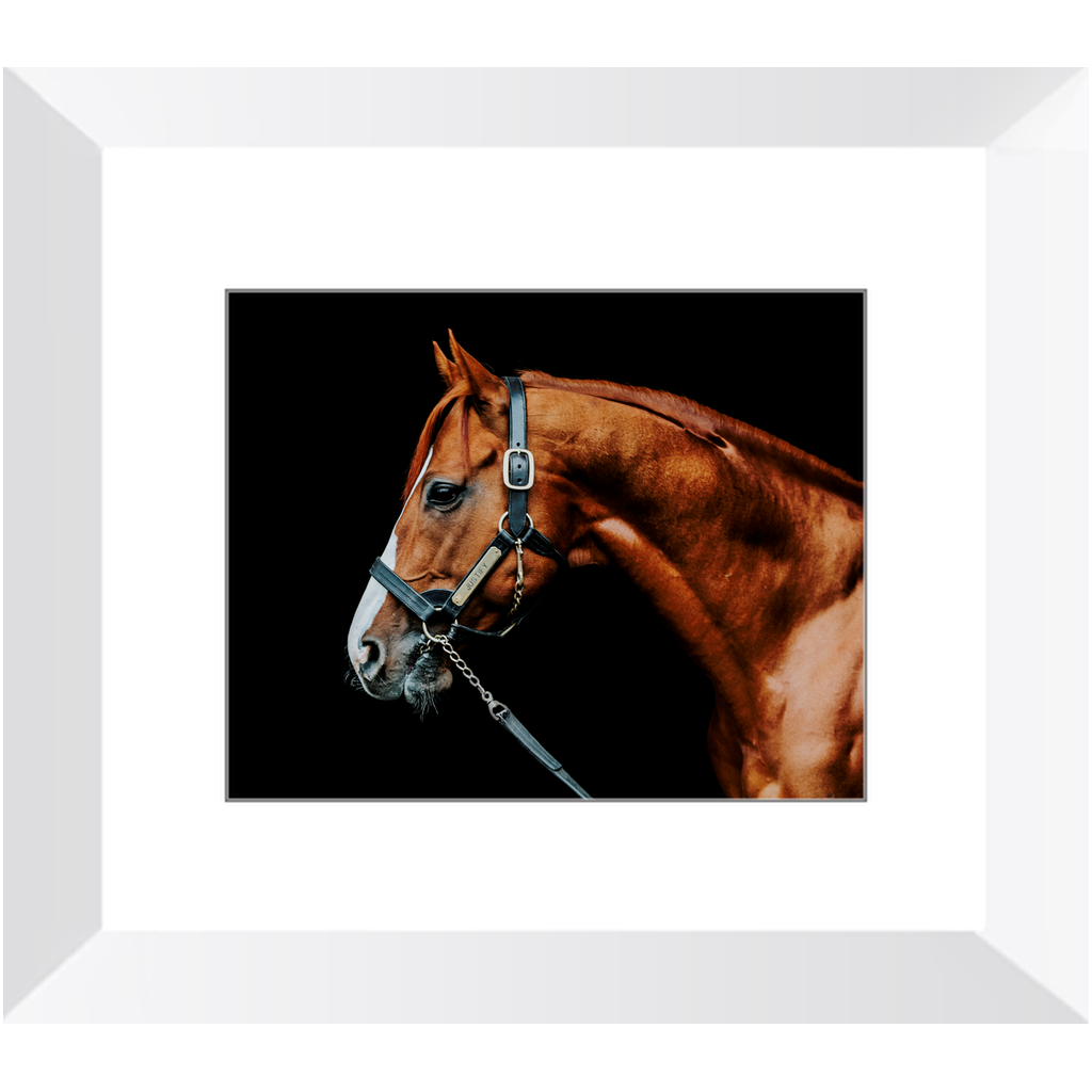 Justify Series 3, Framed Print