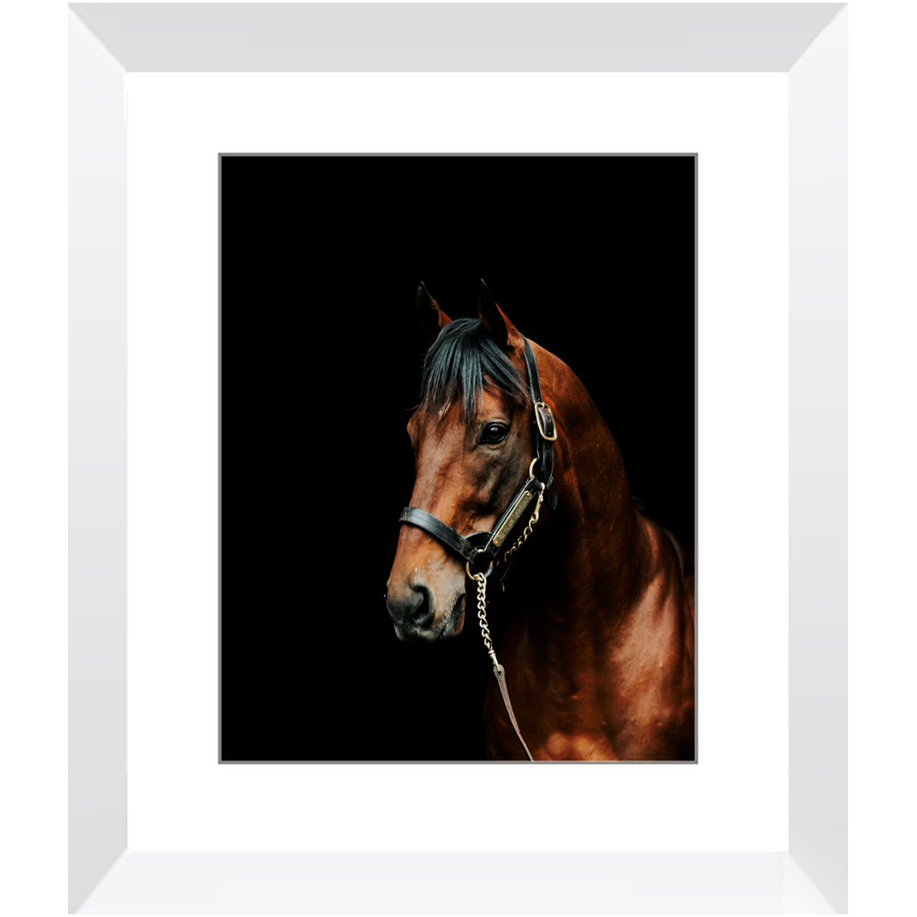 American Pharoah Series 2, Framed Prints