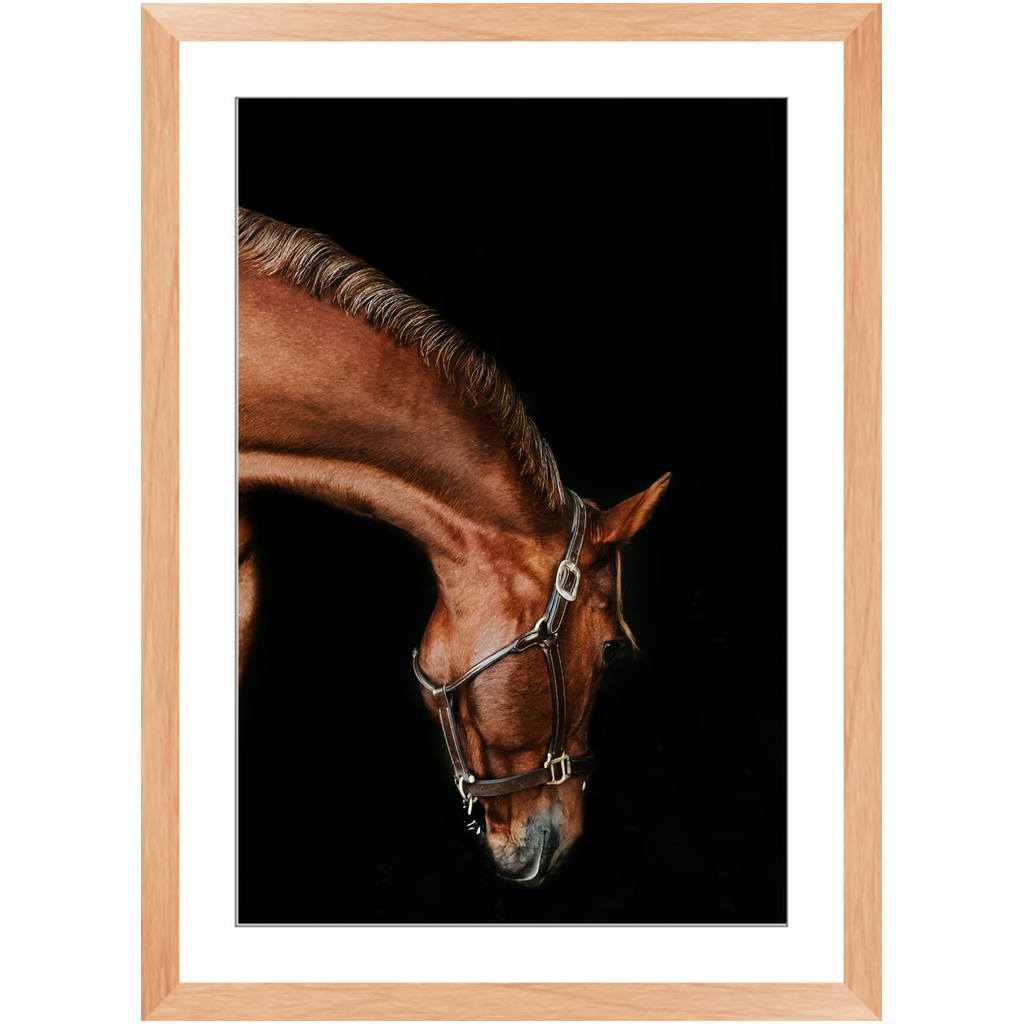 Django Series 6, Framed Print