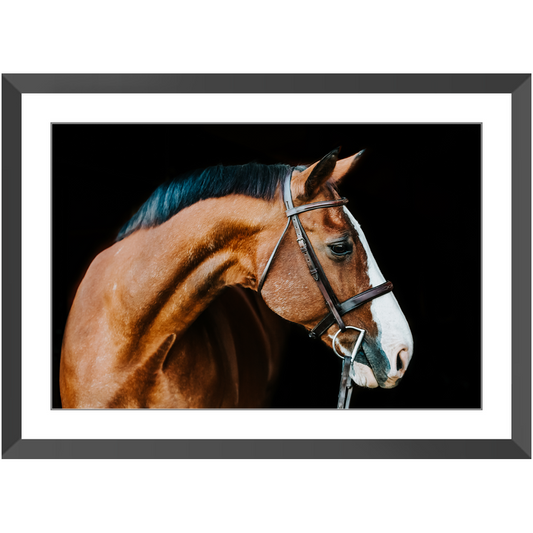 Huntsman Series 3, Framed Print
