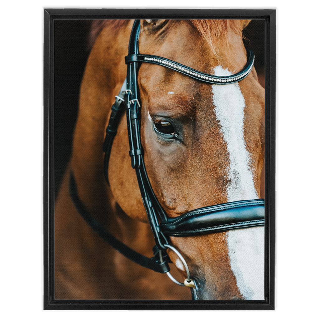 Hudson Series 3, Framed Canvas