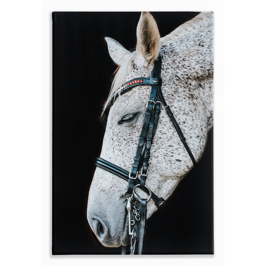 Apollo Series 1, Stretched Canvas