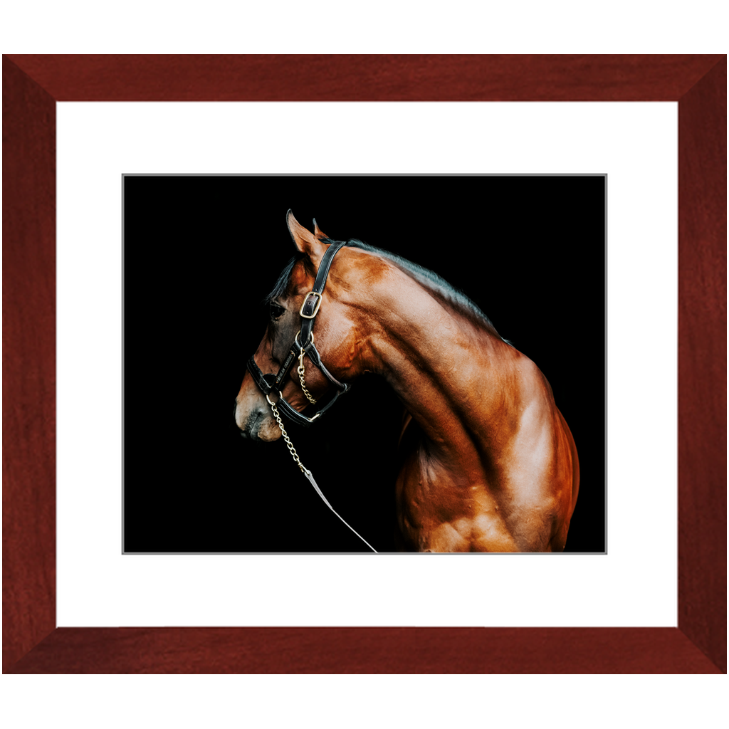 American Pharoah Series 5, Framed Print