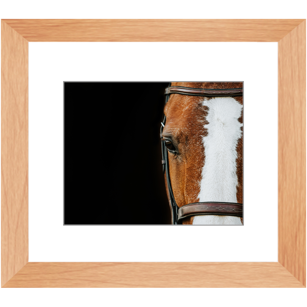 Huntsman Series 5, Framed Print