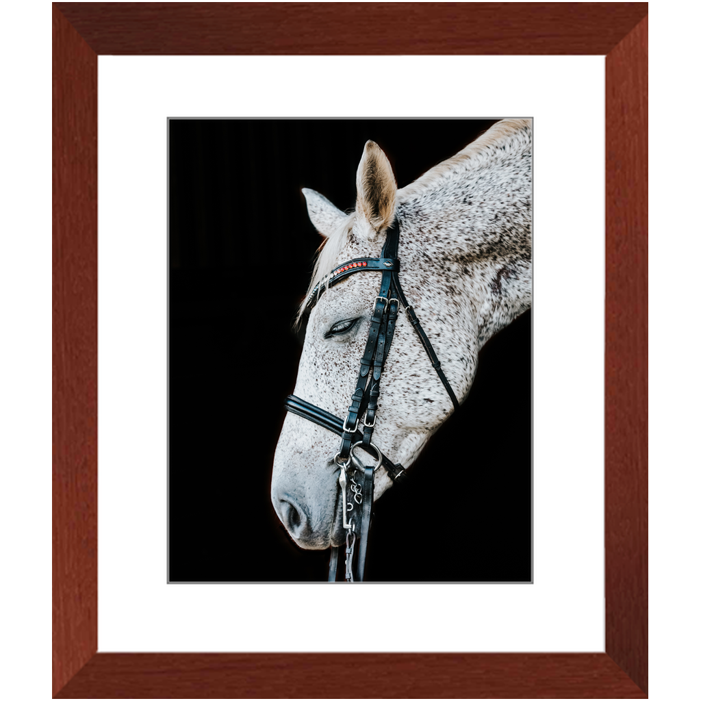 Apollo Series 2, Framed Print