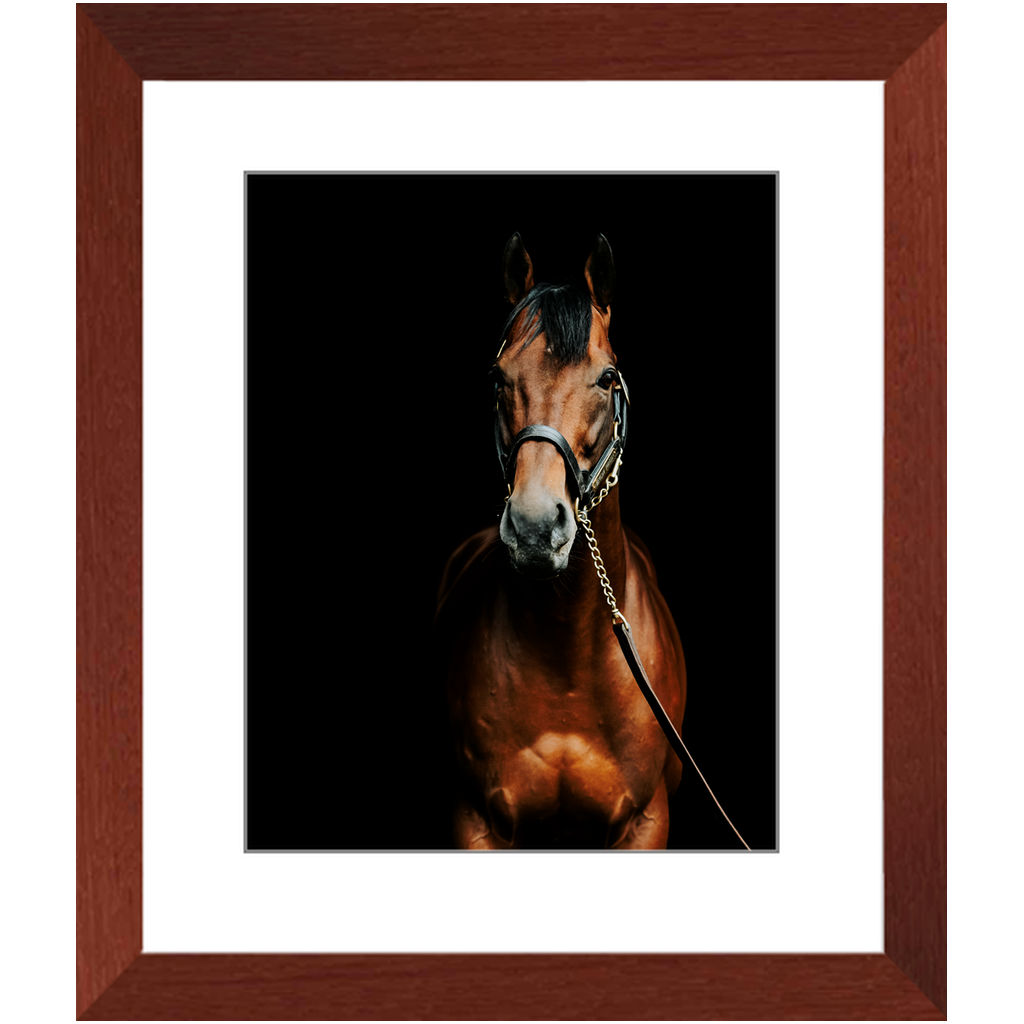 American Pharoah Series 4, Framed Print