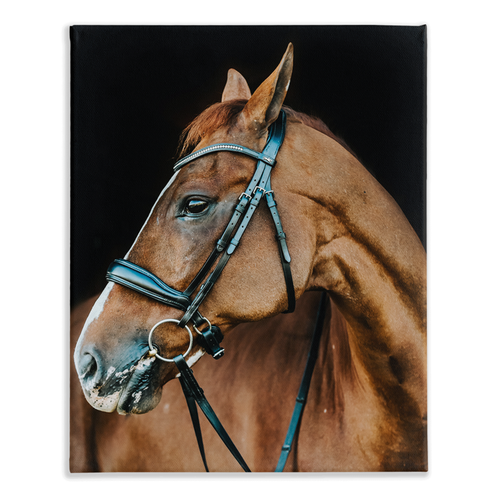 Hudson Series 6, Stretched Canvas