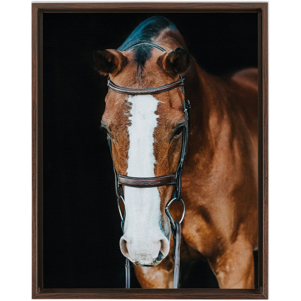 Huntsman Series 6, Framed Canvas