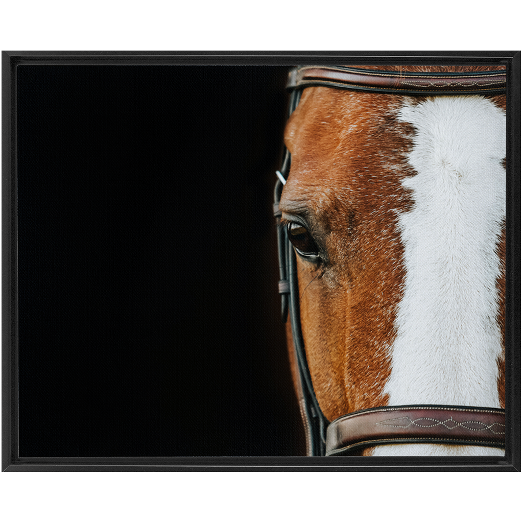 Huntsman Series 5, Framed Canvas
