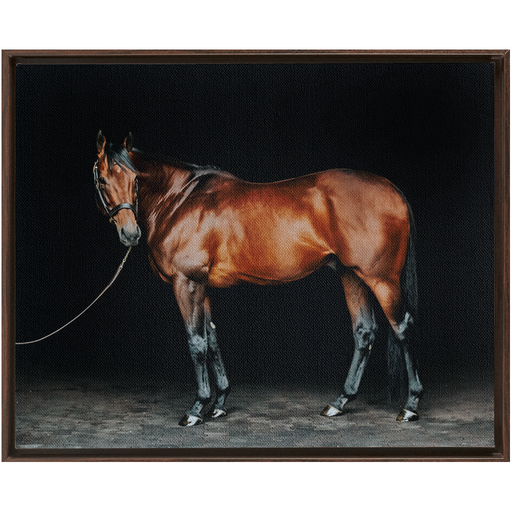 American Pharoah Series 1, Framed Canvas