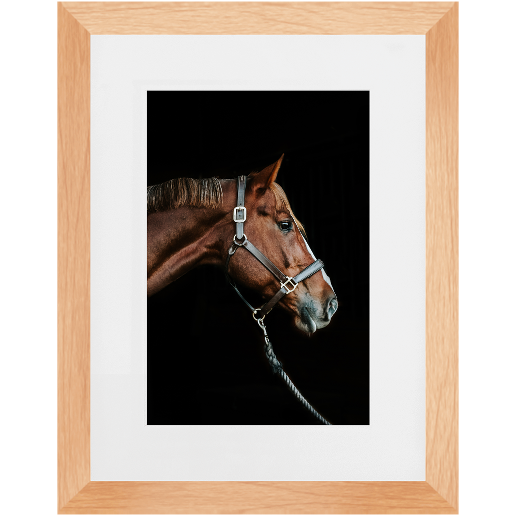 Django Series 3, Framed Print