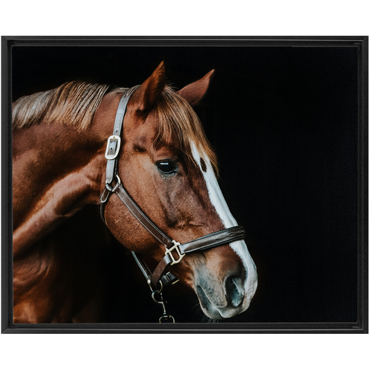 Django Series 5, Framed Canvas