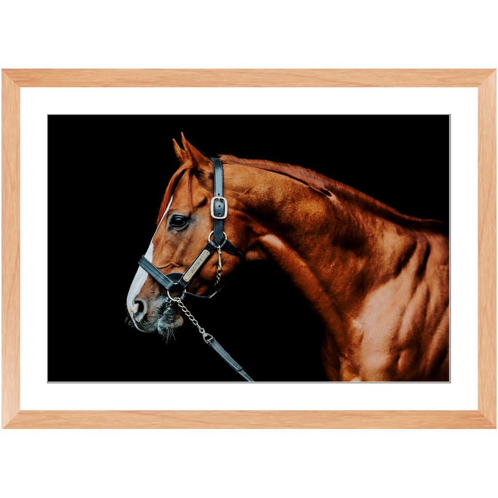 Justify Series 3, Framed Print