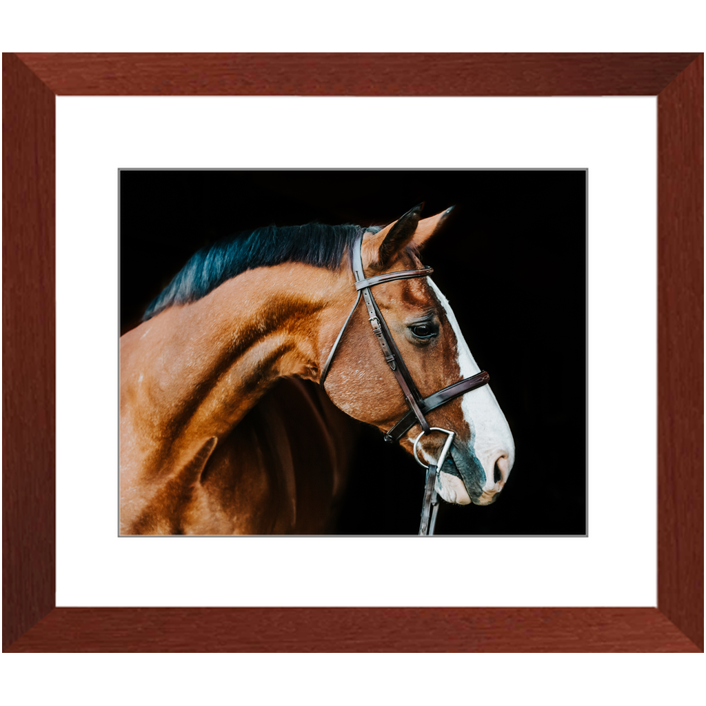 Huntsman Series 3, Framed Print