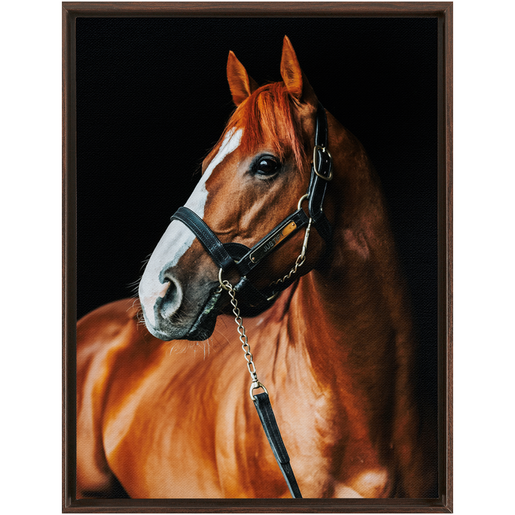 Justify Series 1, Framed Canvas