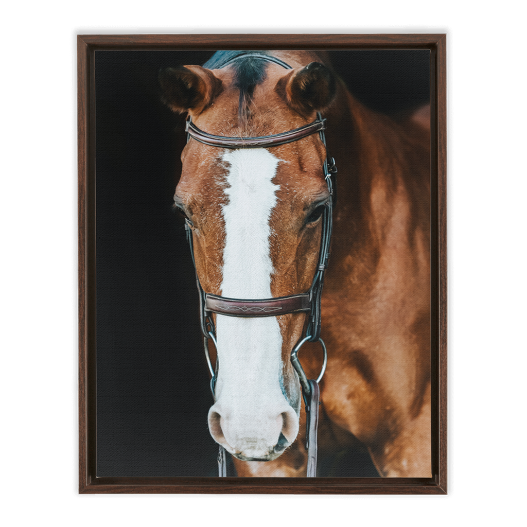 Huntsman Series 6, Framed Canvas