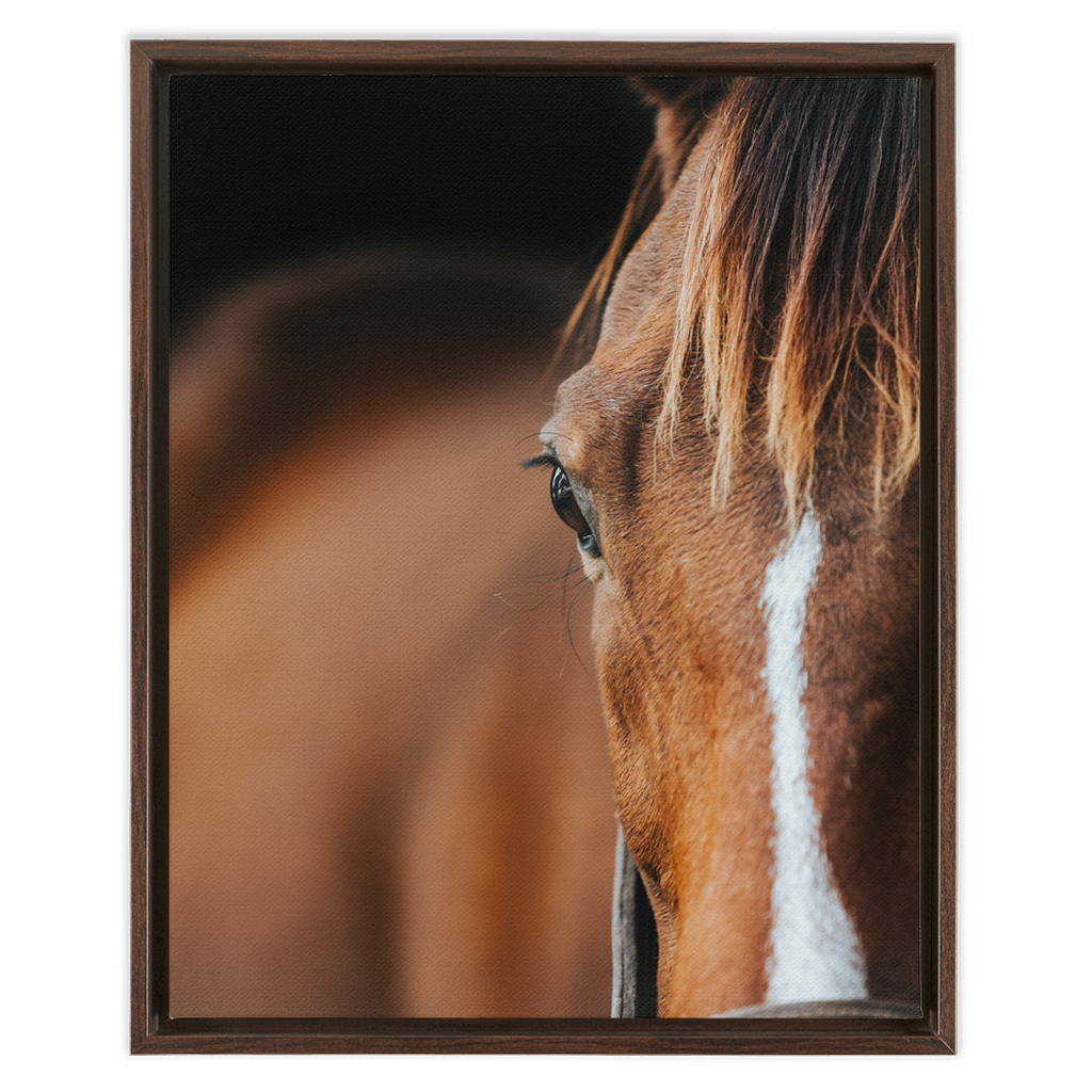 Majestic 1, Framed Canvas