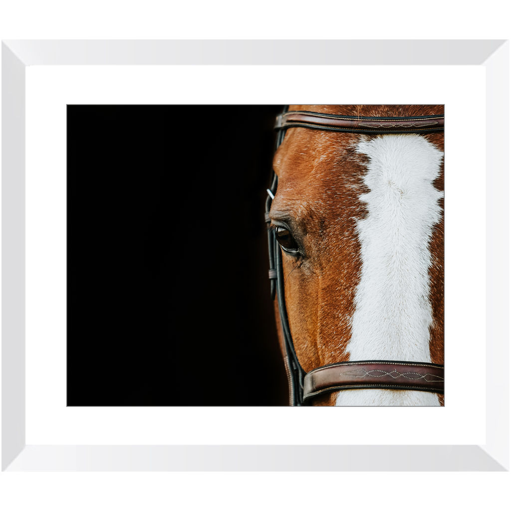 Huntsman Series 5, Framed Print