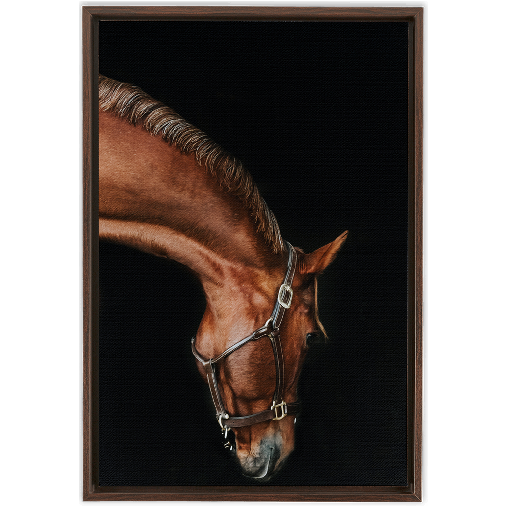 Django Series 6, Framed Canvas
