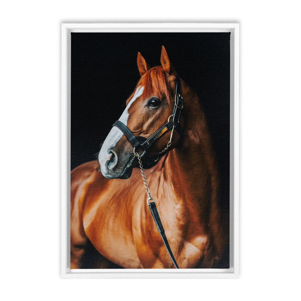 Justify Series 1, Framed Canvas