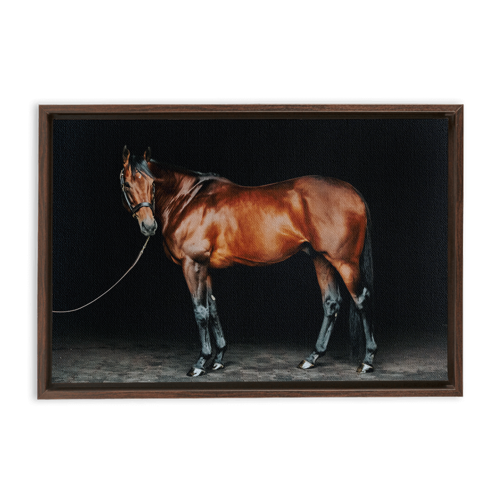 American Pharoah Series 1, Framed Canvas