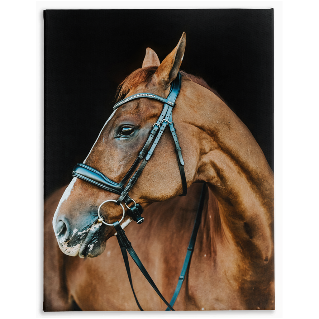 Hudson Series 6, Stretched Canvas