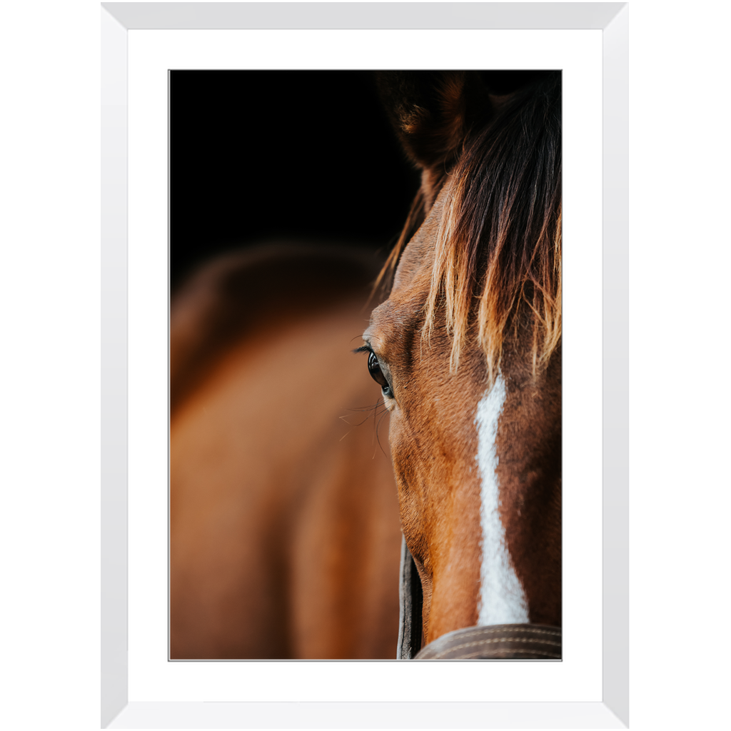 Majestic Series 1, Framed Print