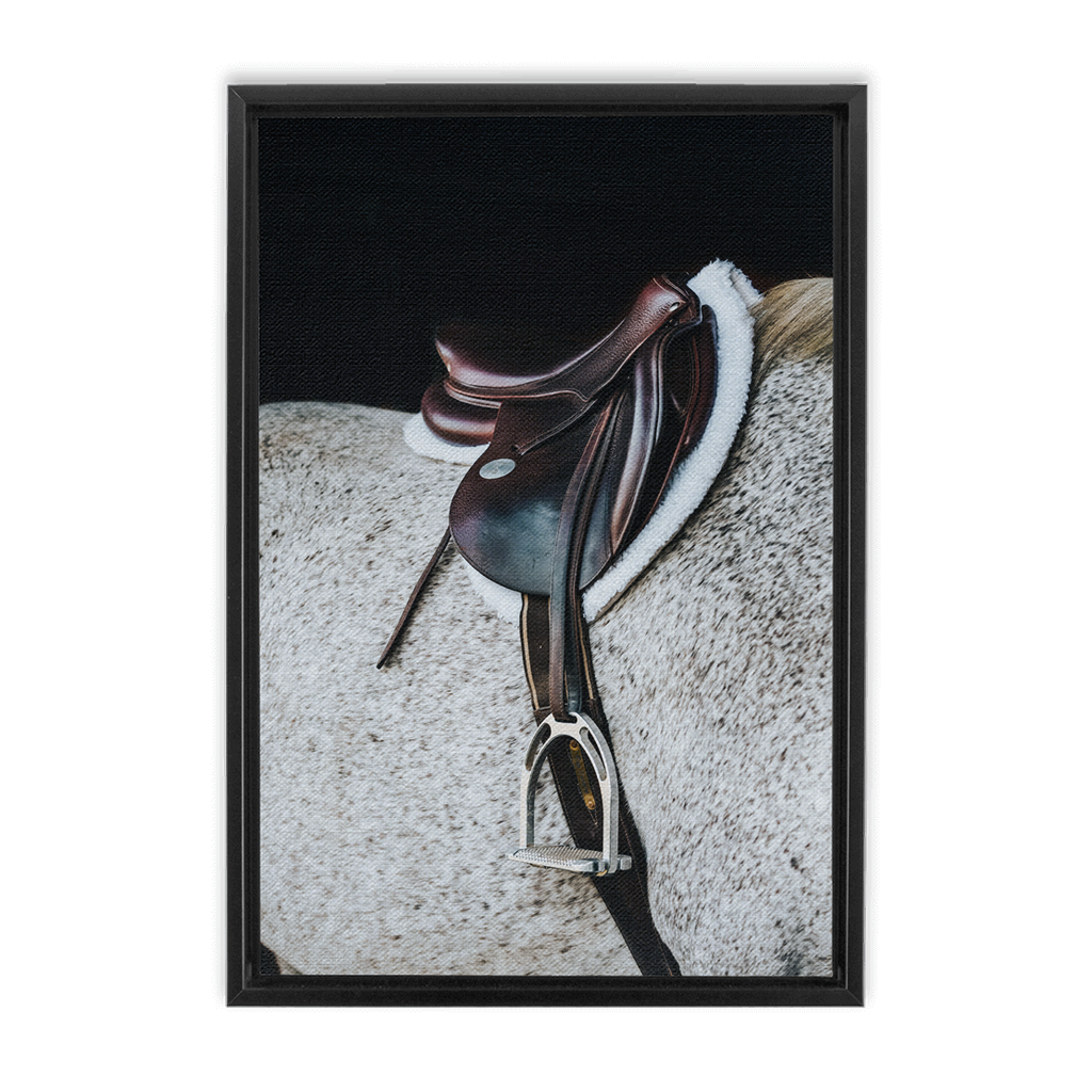 Apollo Series 3, Framed Canvas