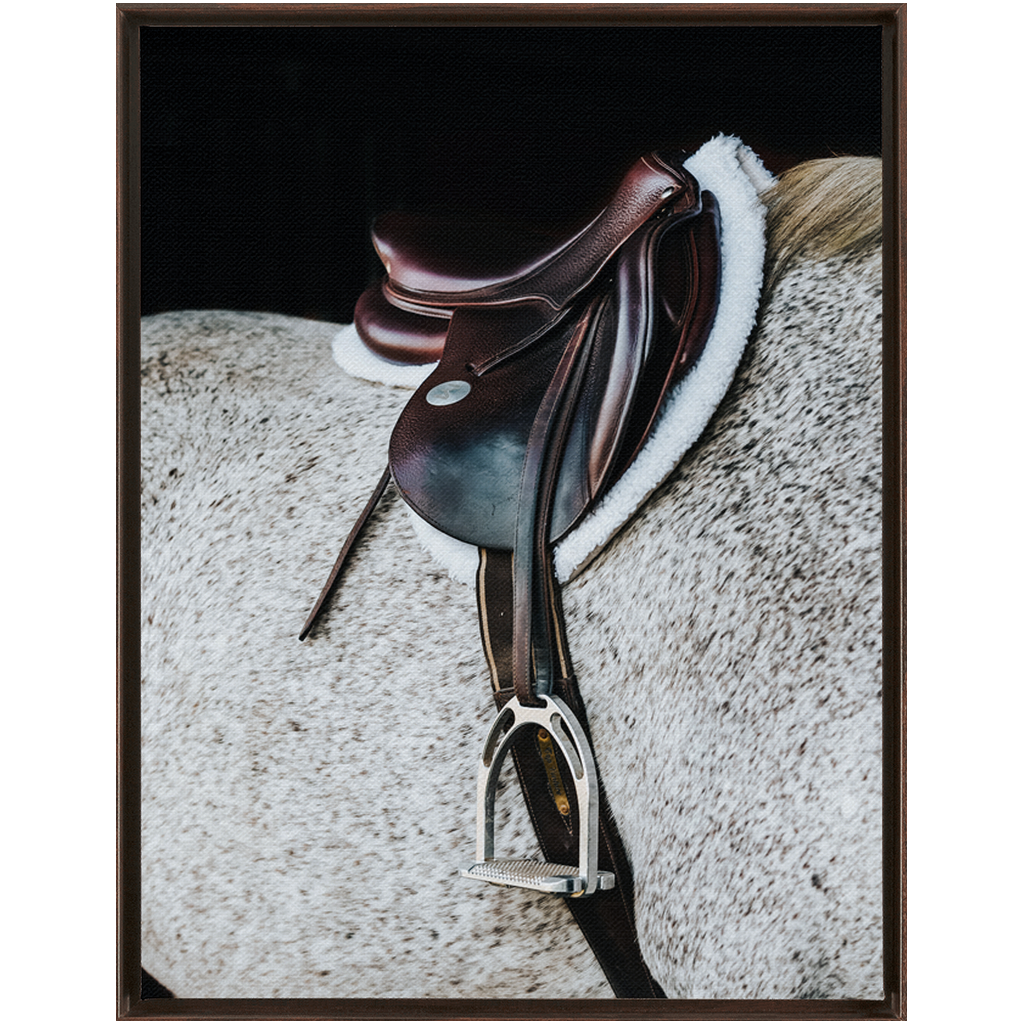 Apollo Series 3, Framed Canvas