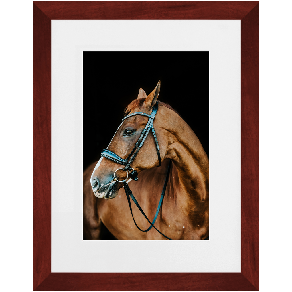 Hudson Series 6, Framed Print