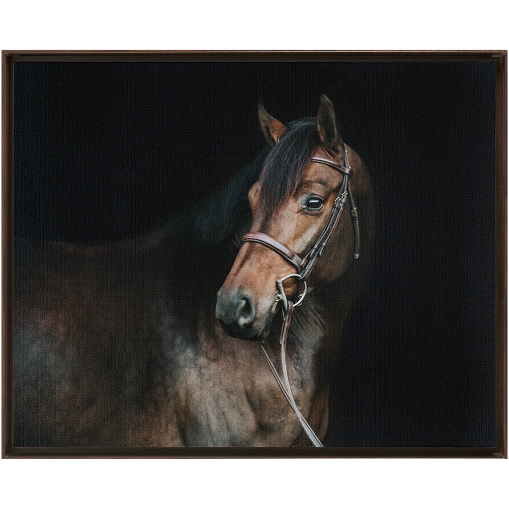 Jovial Series 2, Framed Canvas