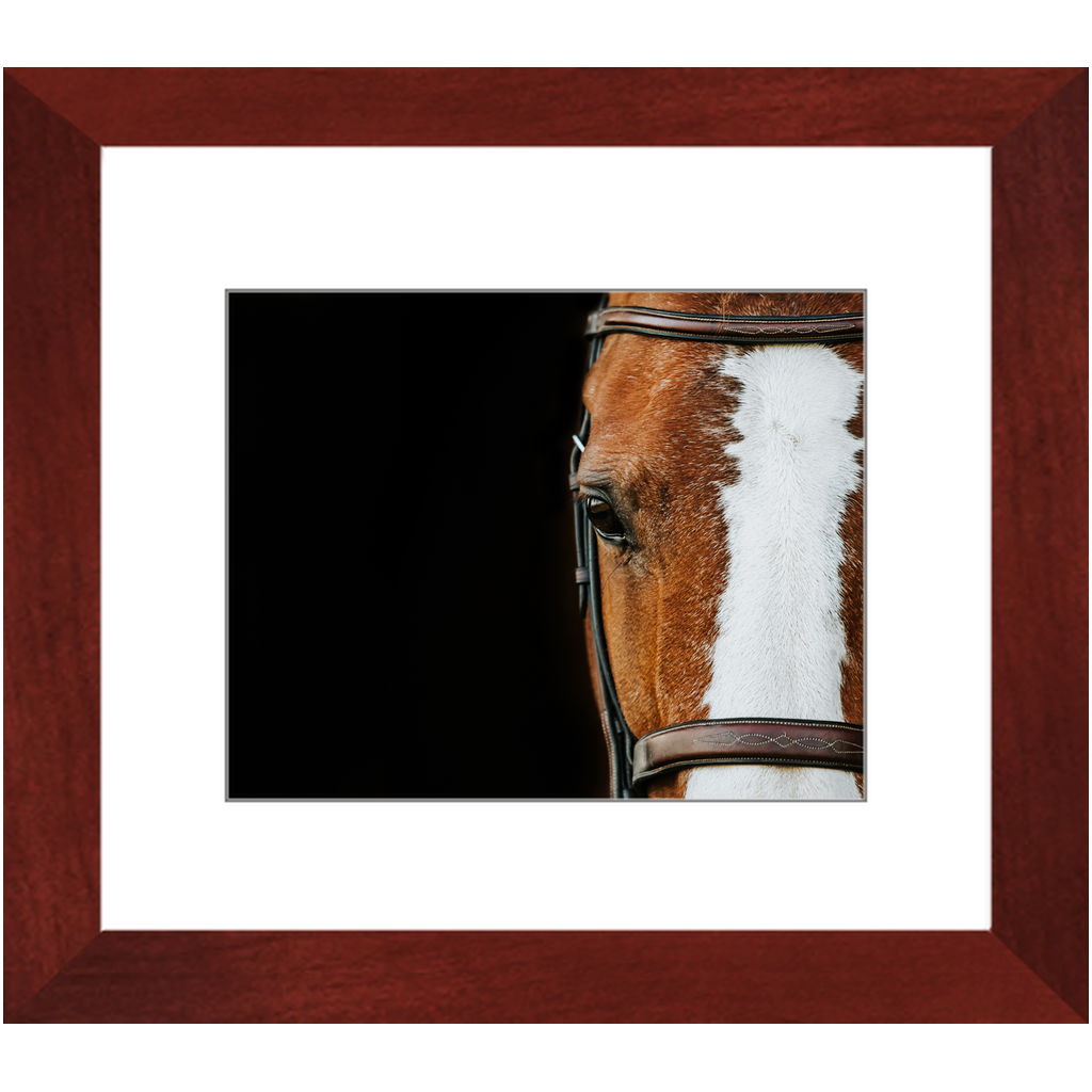 Huntsman Series 5, Framed Print