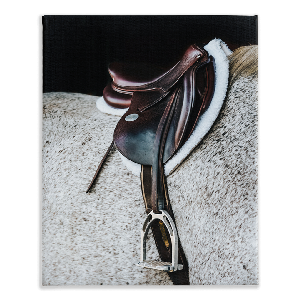 Apollo Series 3, Stretched Canvas