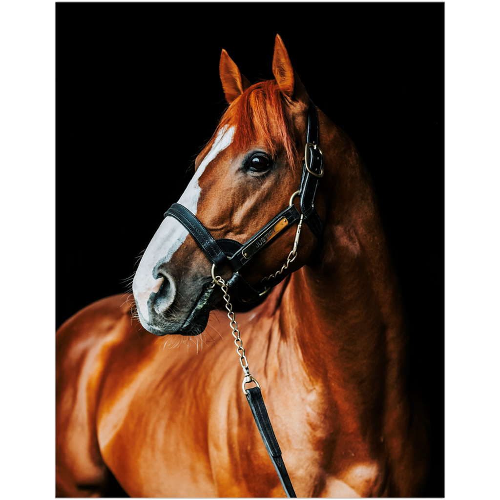Justify Series 1, Print