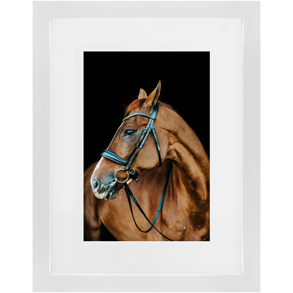 Hudson Series 6, Framed Print