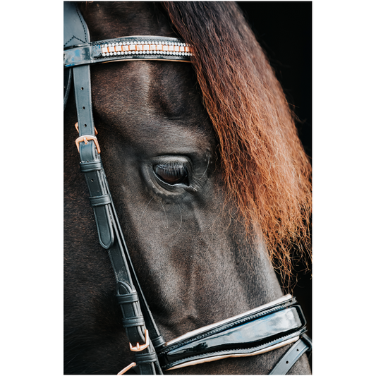 Regal Series 4, Print