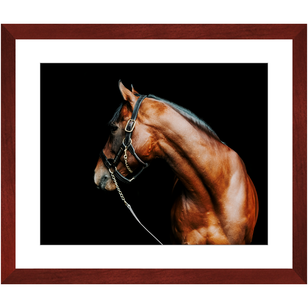 American Pharoah Series 5, Framed Print