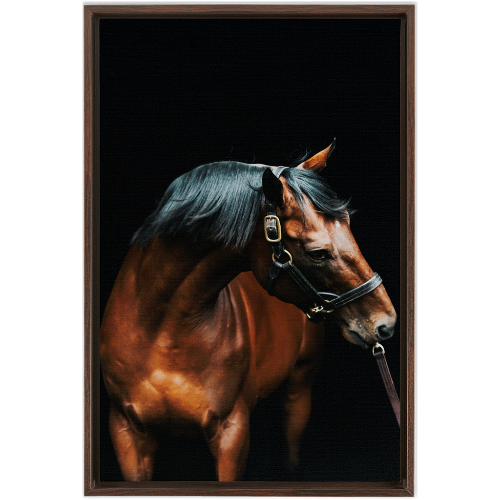 American Pharoah Series 3, Framed Canvas
