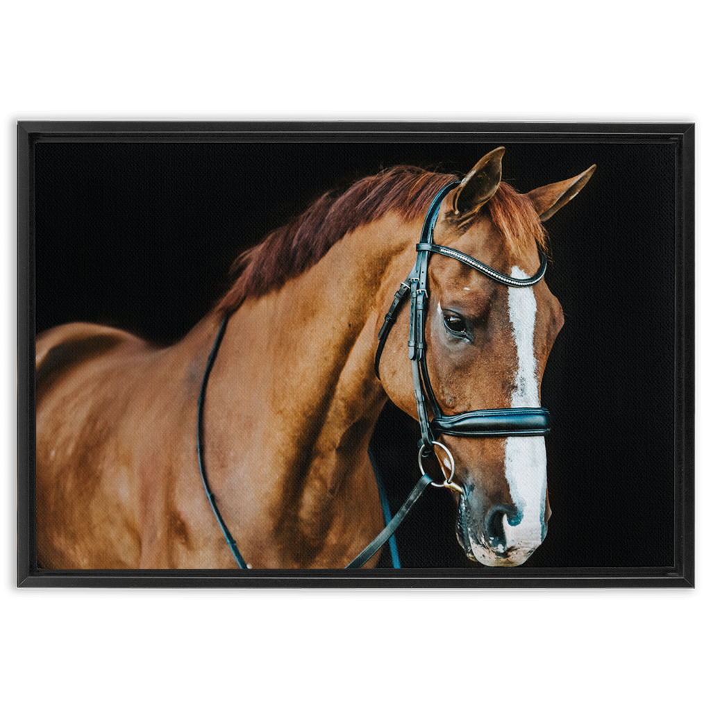 Hudson Series 1, Framed Canvas