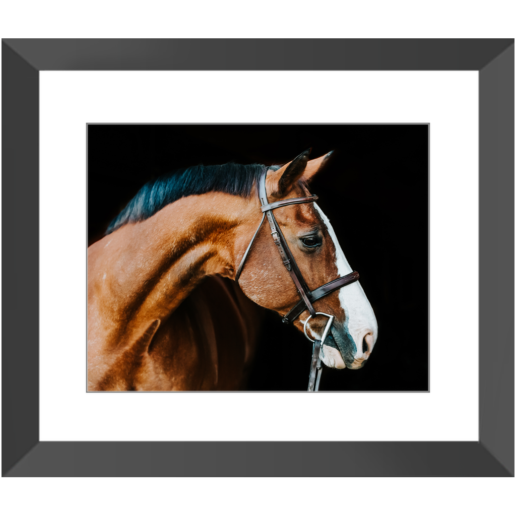 Huntsman Series 3, Framed Print
