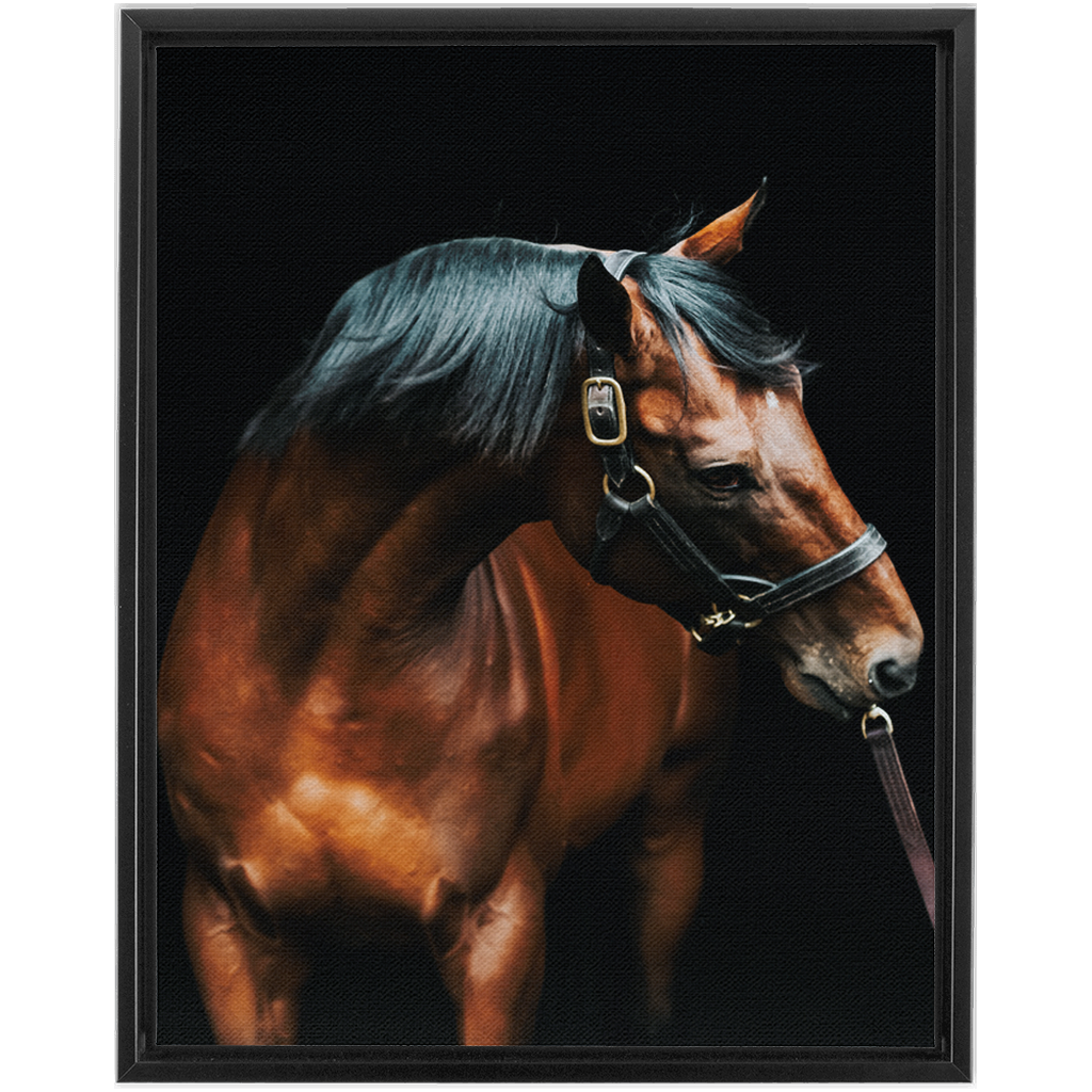 American Pharoah Series 3, Framed Canvas