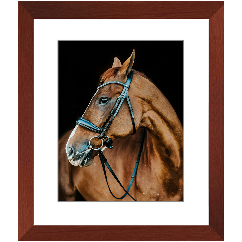 Hudson Series 6, Framed Print