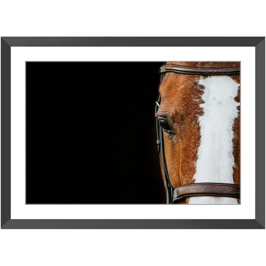 Huntsman Series 5, Framed Print