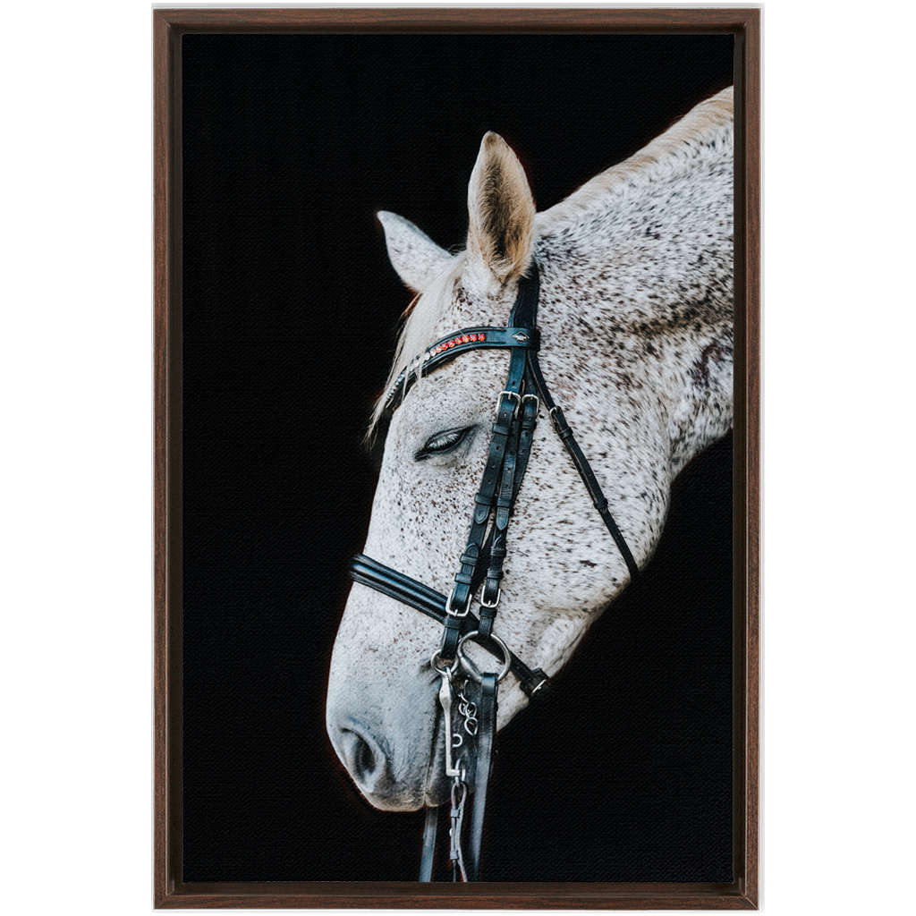Apollo Series 1, Framed Canvas