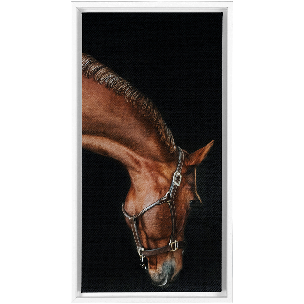 Django Series 6, Framed Canvas