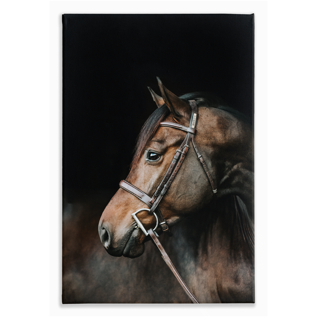 Jovial Series 3, Stretched Canvas